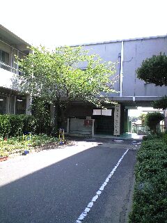 シールのために・・_a0054090_2125081.jpg