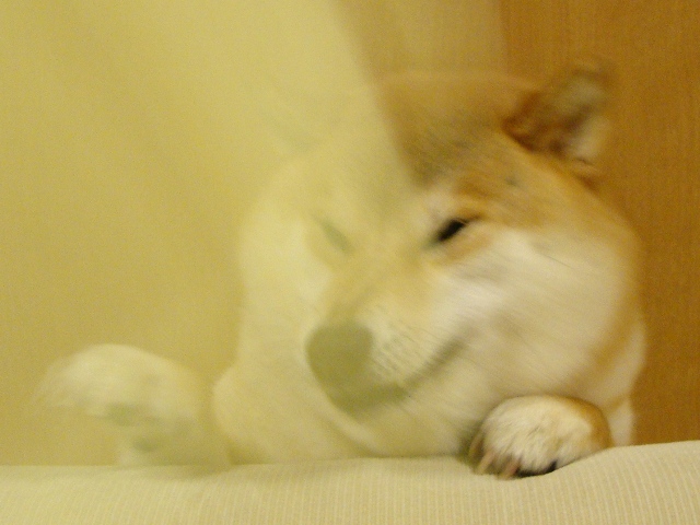 こんな日もあるさ_a0126590_1461817.jpg