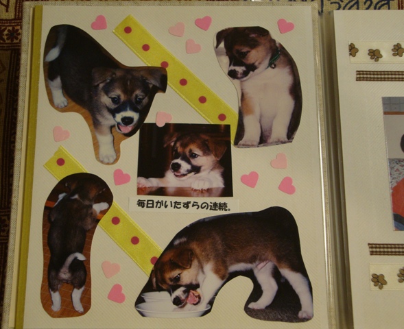 ケンちゃん_a0126590_23445669.jpg