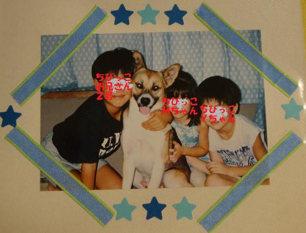 ケンちゃん_a0126590_23451730.jpg