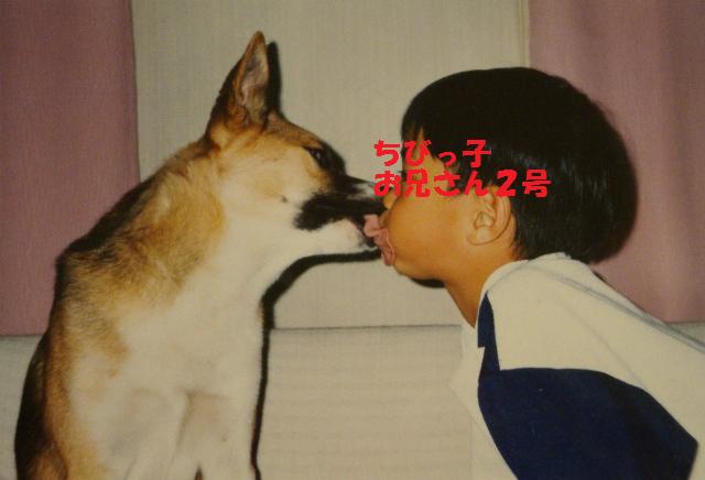 ケンちゃん_a0126590_2357928.jpg