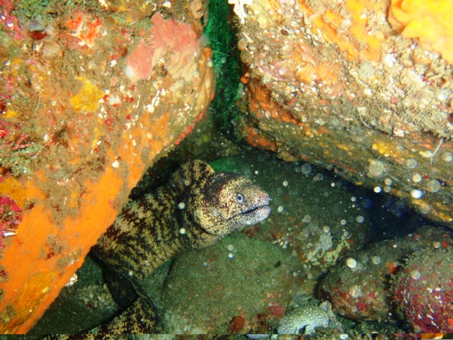 f0180993_2141561.jpg