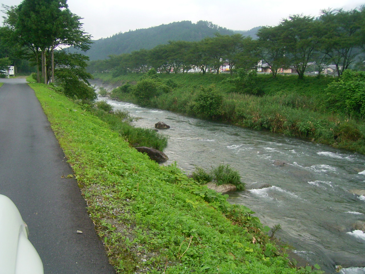 濡れているものは雨を恐れない。 _f0073301_1640323.jpg