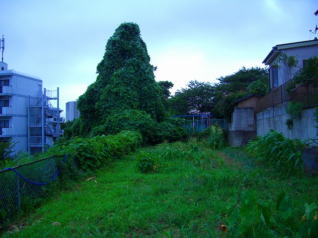 c0125702_1813999.jpg