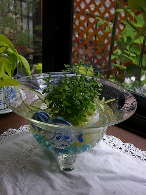 a0123003_2175093.jpg