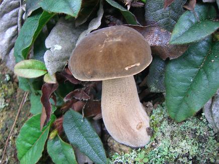 c0170905_1063855.jpg