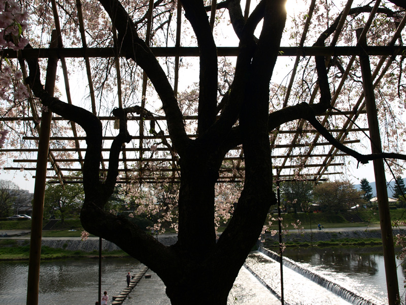 c0188405_03364.jpg