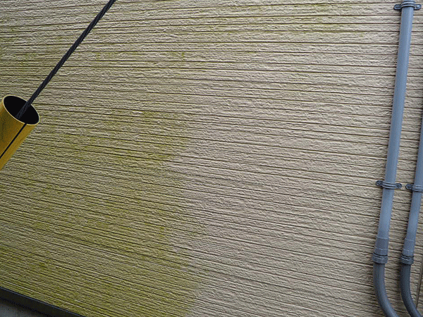 b0159611_23575427.gif