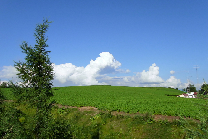 c0033513_2193722.jpg