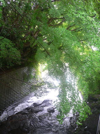 c0101913_021402.jpg