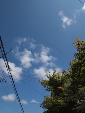 e0113915_8134823.jpg