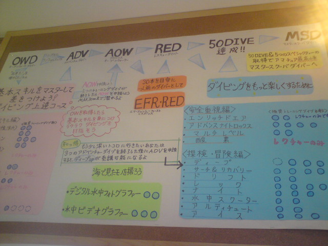 a0104720_222186.jpg