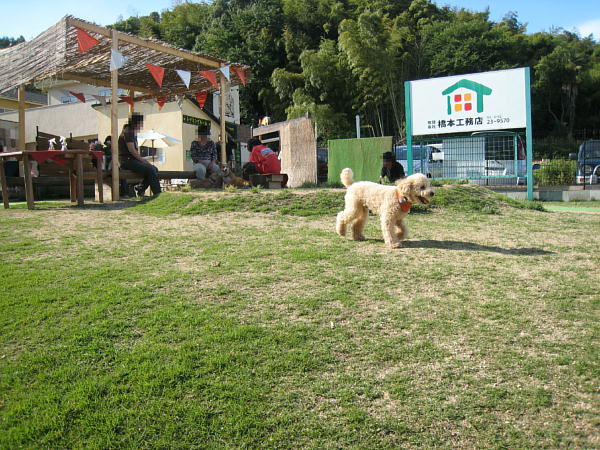 c0060920_11224132.jpg