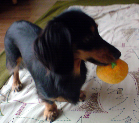 c0117831_21482445.jpg
