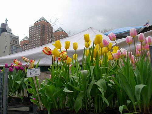 f0200433_16212850.jpg