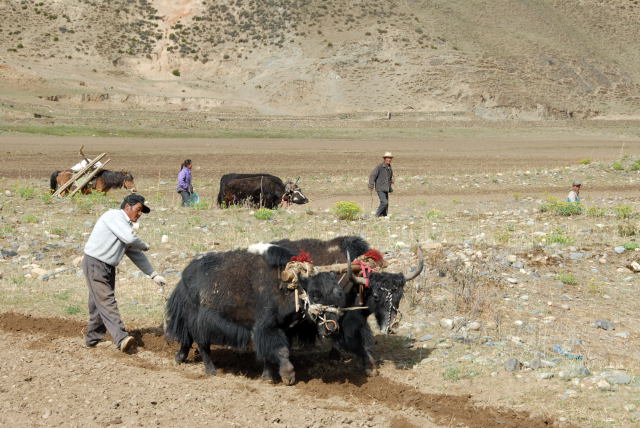 d0091834_9452449.jpg