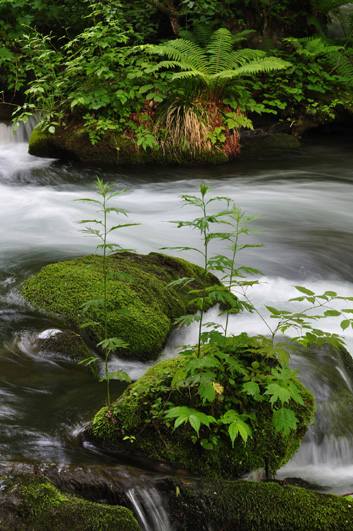 気温26度、湿度７０％_c0150037_5521877.jpg