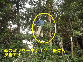 伐採作業・・・_f0031037_7422279.jpg