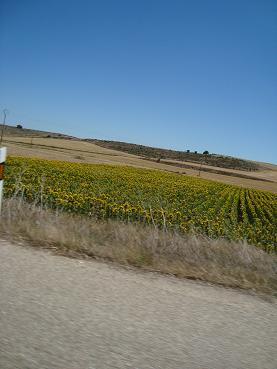 e0120938_75192.jpg