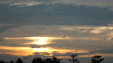 a0126341_2104.jpg