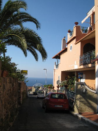 c0157047_156275.jpg