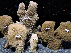 e0005548_23465699.gif