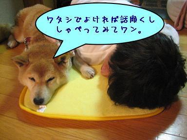 8月はしんみりスタート_c0049950_1510423.jpg