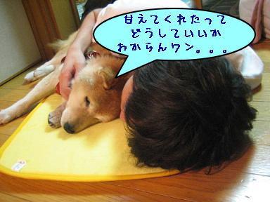 8月はしんみりスタート_c0049950_15114223.jpg