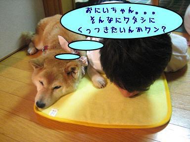 8月はしんみりスタート_c0049950_1545238.jpg