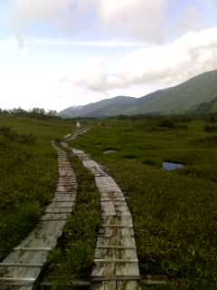 f0030155_10434048.jpg
