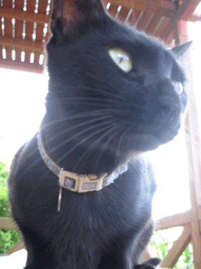 f0057456_1014824.gif