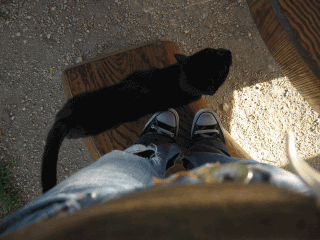 f0057456_10255067.gif