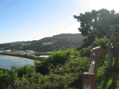 f0057456_10263065.gif