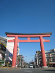 え゛っ!? 中村公園(大鳥居)に来るの!?_b0157157_11311617.jpg