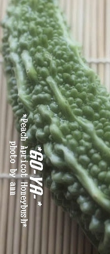 f0202957_8292057.jpg