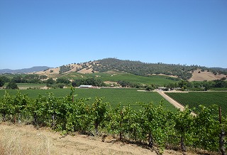 c0185058_34237.jpg