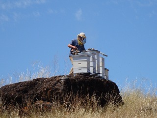 c0185058_36498.jpg