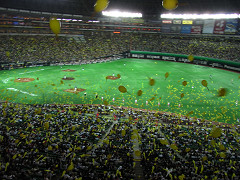 f0147759_1121131.jpg