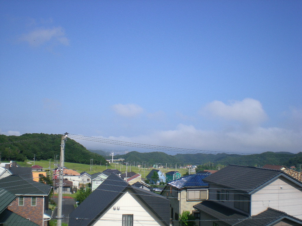2009年7月31日(金)心ちゃんが泣いている!_f0060461_20104772.jpg