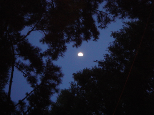 e0125762_036718.jpg