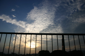 b0079965_55928.jpg