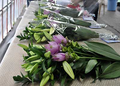 e0097770_05339.jpg