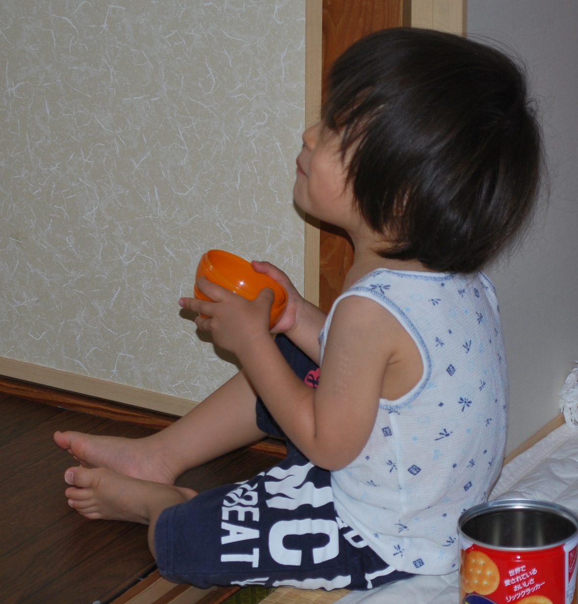 f0208573_8221470.jpg
