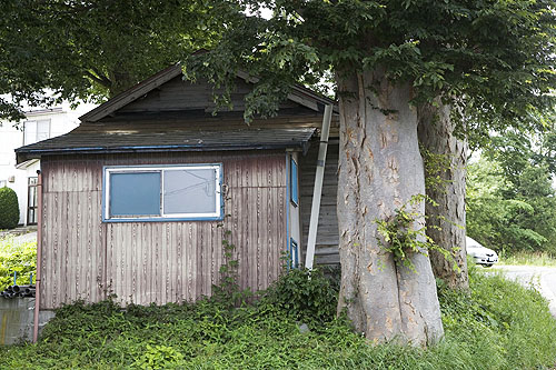 c0195281_1743145.jpg
