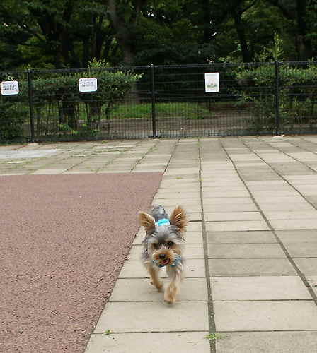 e0156083_21403999.jpg