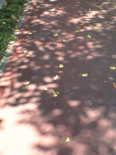 e0183783_12241724.jpg