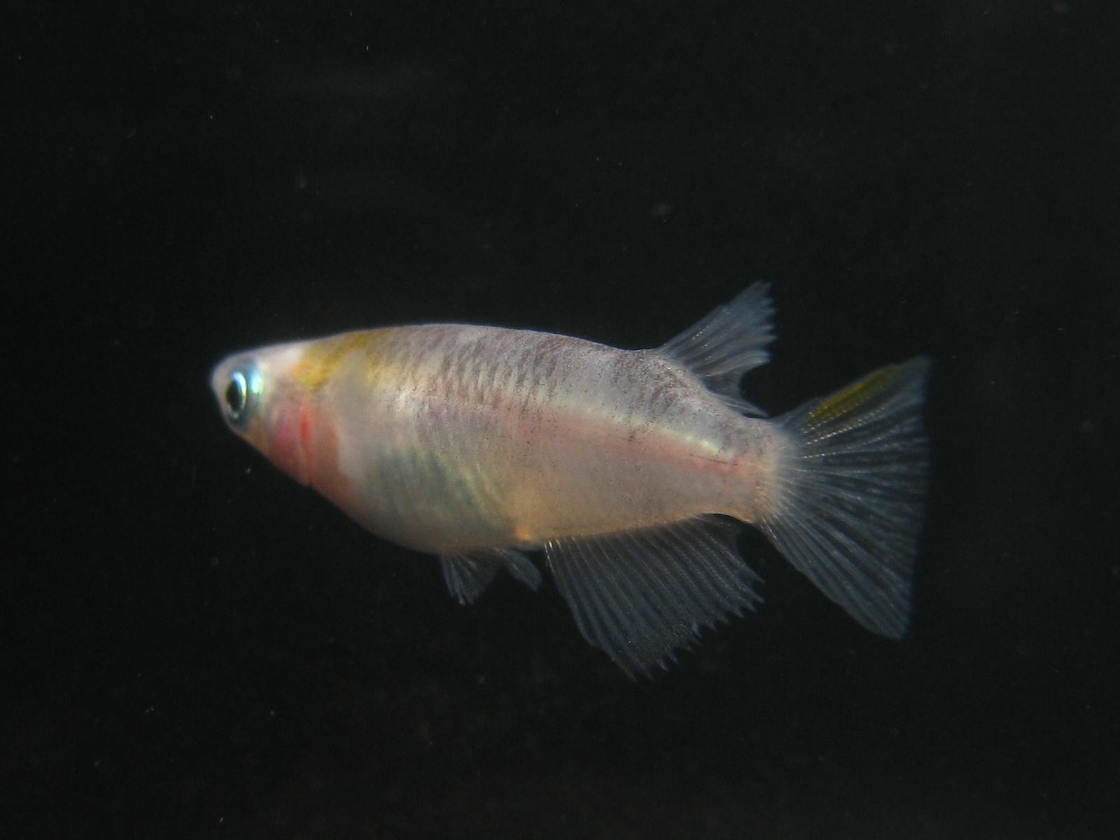e0176785_1263460.jpg