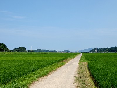 リベンジ？！_f0197985_23563145.jpg