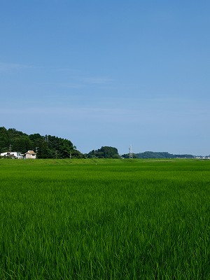 リベンジ？！_f0197985_23564950.jpg