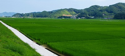 リベンジ？！_f0197985_2357364.jpg